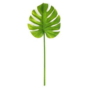 Out of stock. But has supplier info (dates, quantities).